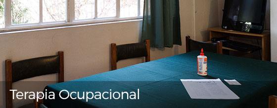 RMG - Terapia Ocupacional